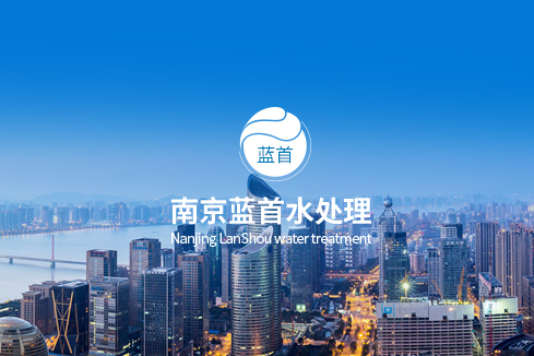 城子河建站-南京蓝首水处理设备有限公司