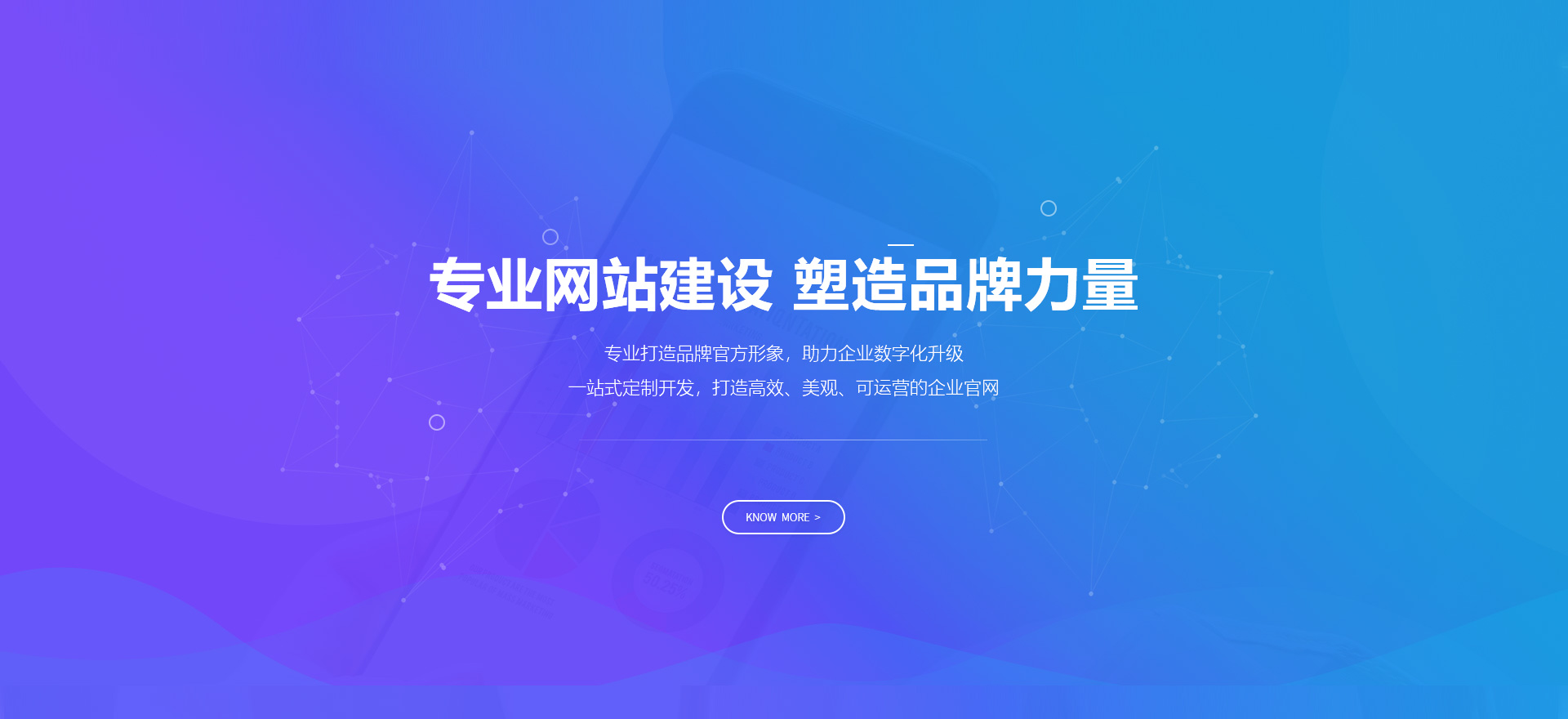 虎林建站-专业网站建设 塑造品牌力量