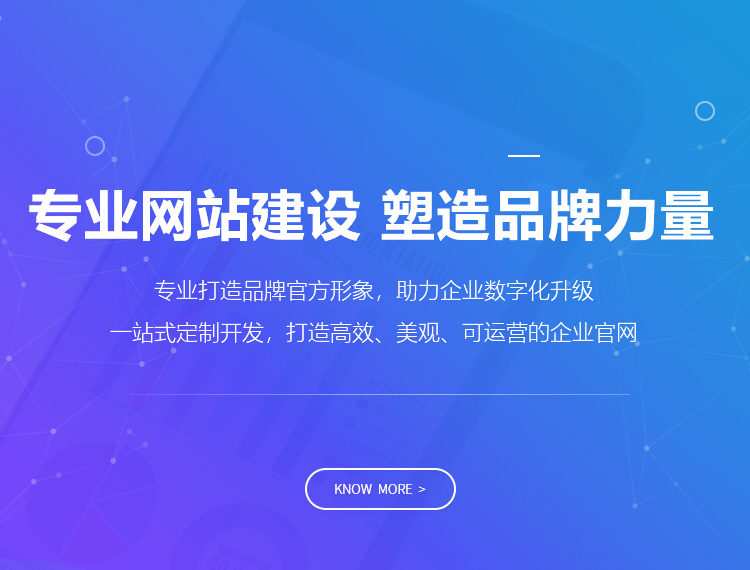 虎林建站-专业网站建设 塑造品牌力量